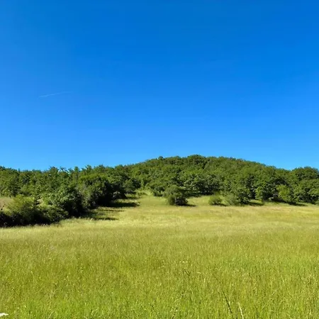 Vintage Retreat In Tatil Evi
