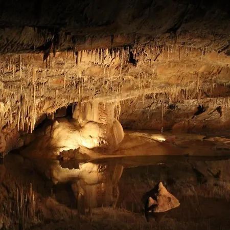 Tatil Evi Vintage Retreat In