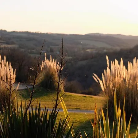 Vintage Retreat In *