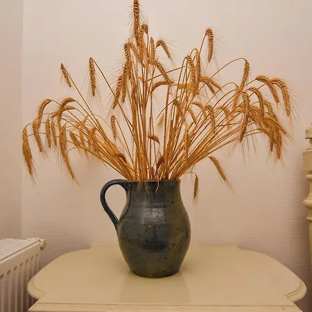 Tatil Evi Vintage Retreat In *