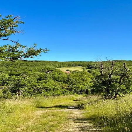 Vintage Retreat In Tatil Evi *