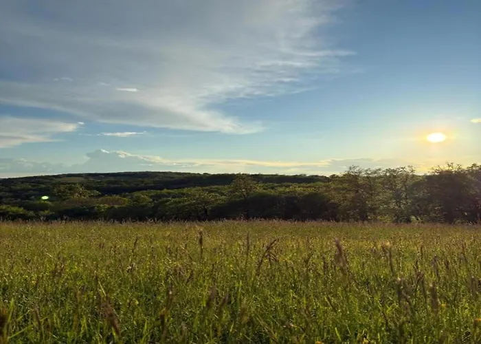 Vintage Retreat In * Montfaucon (Lot)