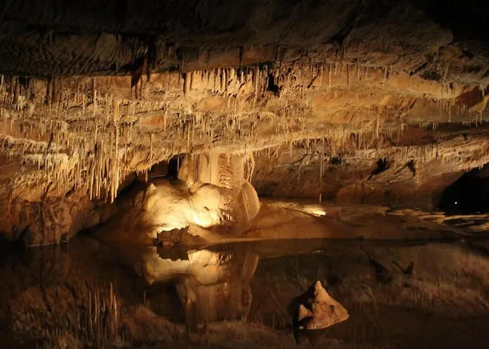 Holiday home Vintage Retreat In